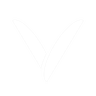 Valyroe Logo